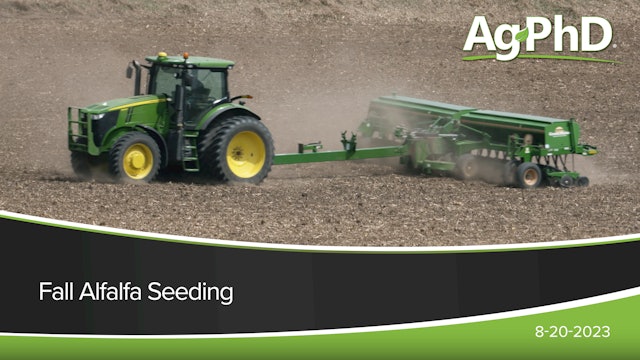 Fall Alfalfa Seeding | Ag PhD