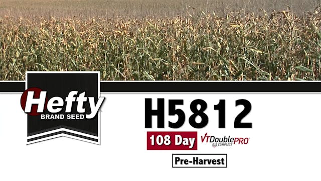 H5812 | 108-Day | VT2P