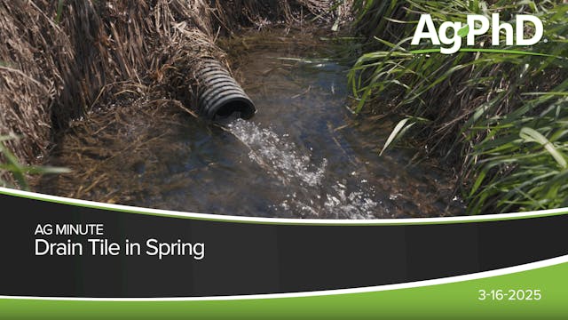 Drain Tile in Spring | Ag PhD