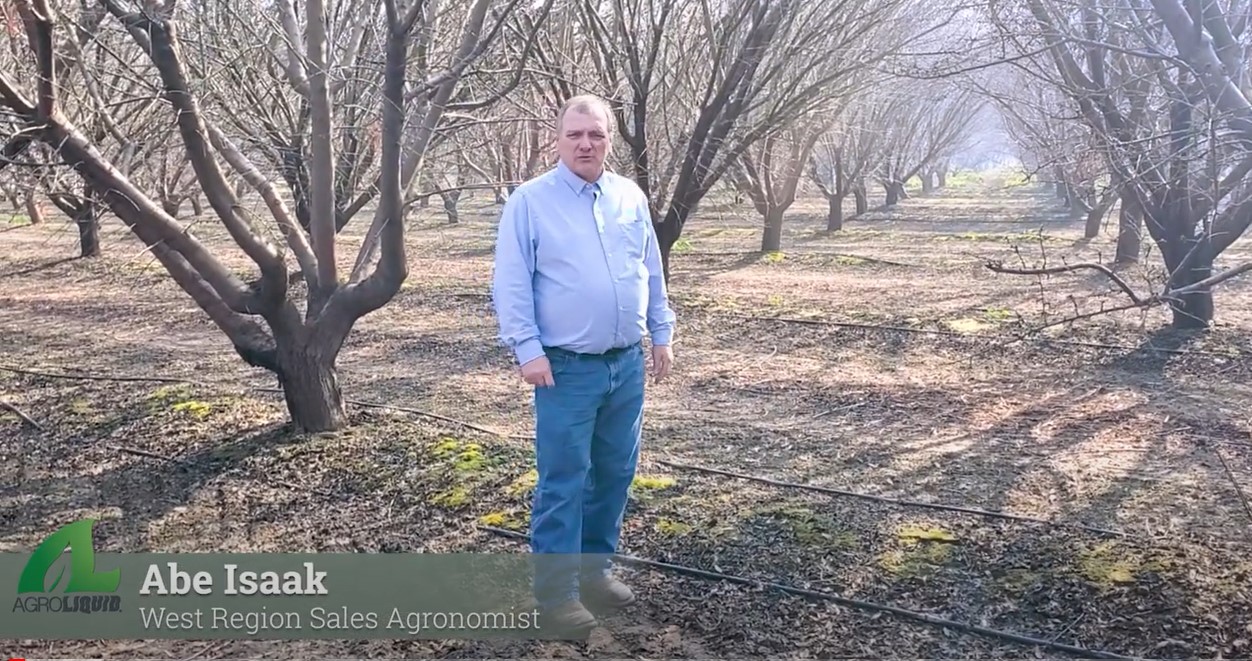 Drought, Sodium Issues, Nutrient Interactions | AgroLiquid