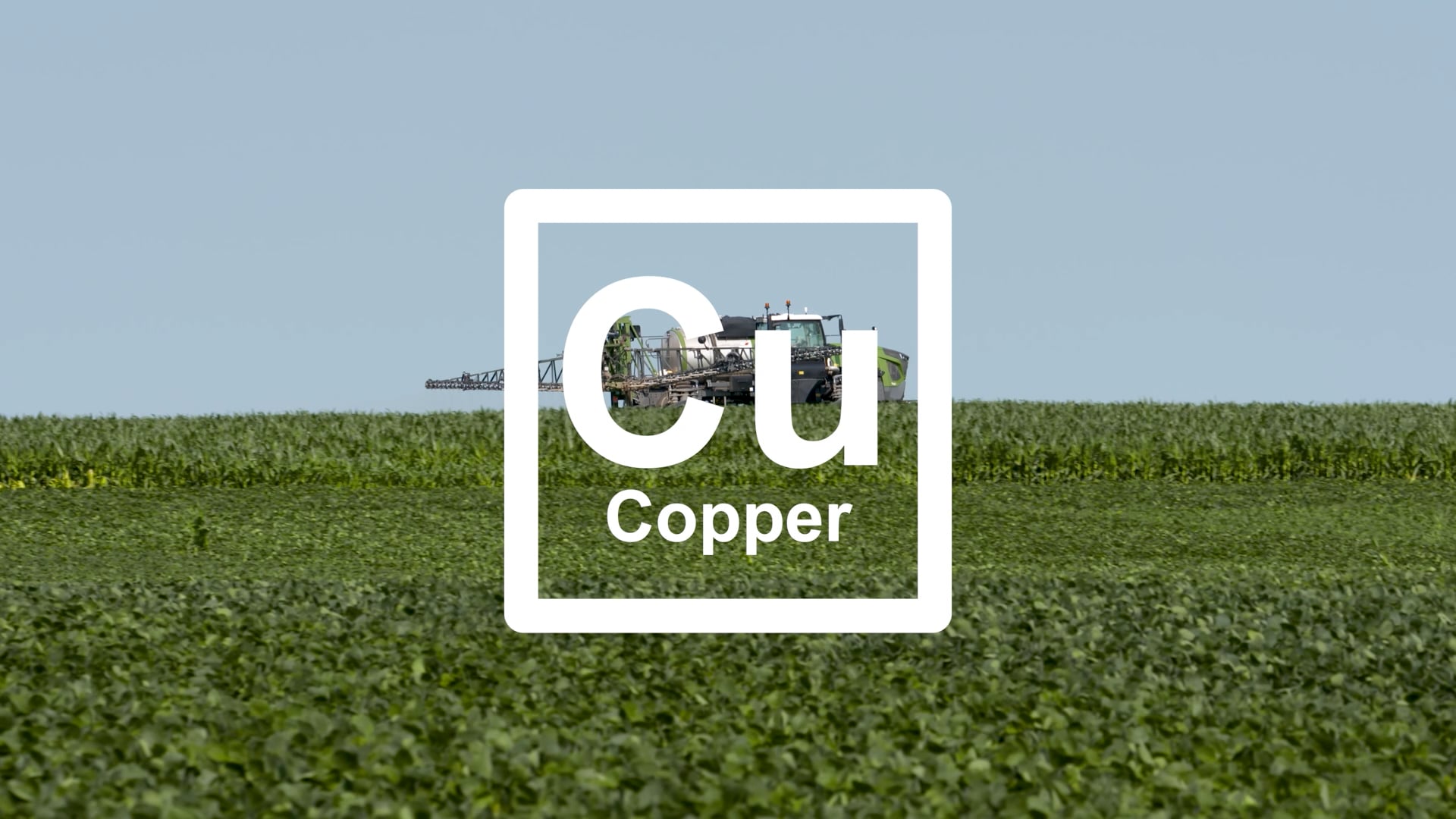 Copper Deficiency | AgroLiquid NS