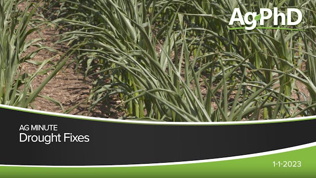 Drought Fixes | Ag PhD