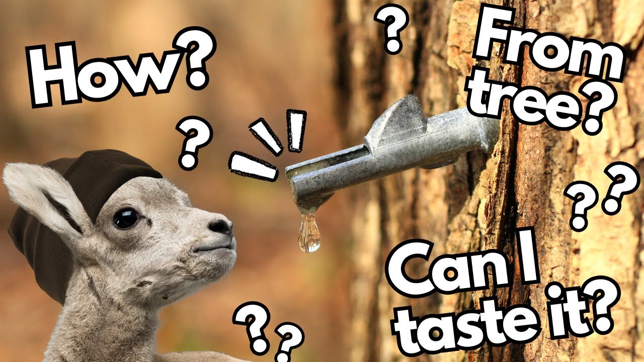 Farming Can Get Sticky | WAG in Focus 