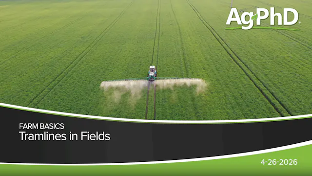 Tramlines in Fields | Ag PhD