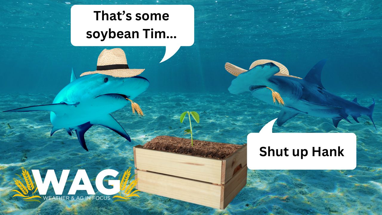 Can You Farm Sharks in Illinois? | WAG in Focus 3/18/24