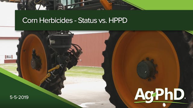 Corn Herbicides:  Status vs. HPPD