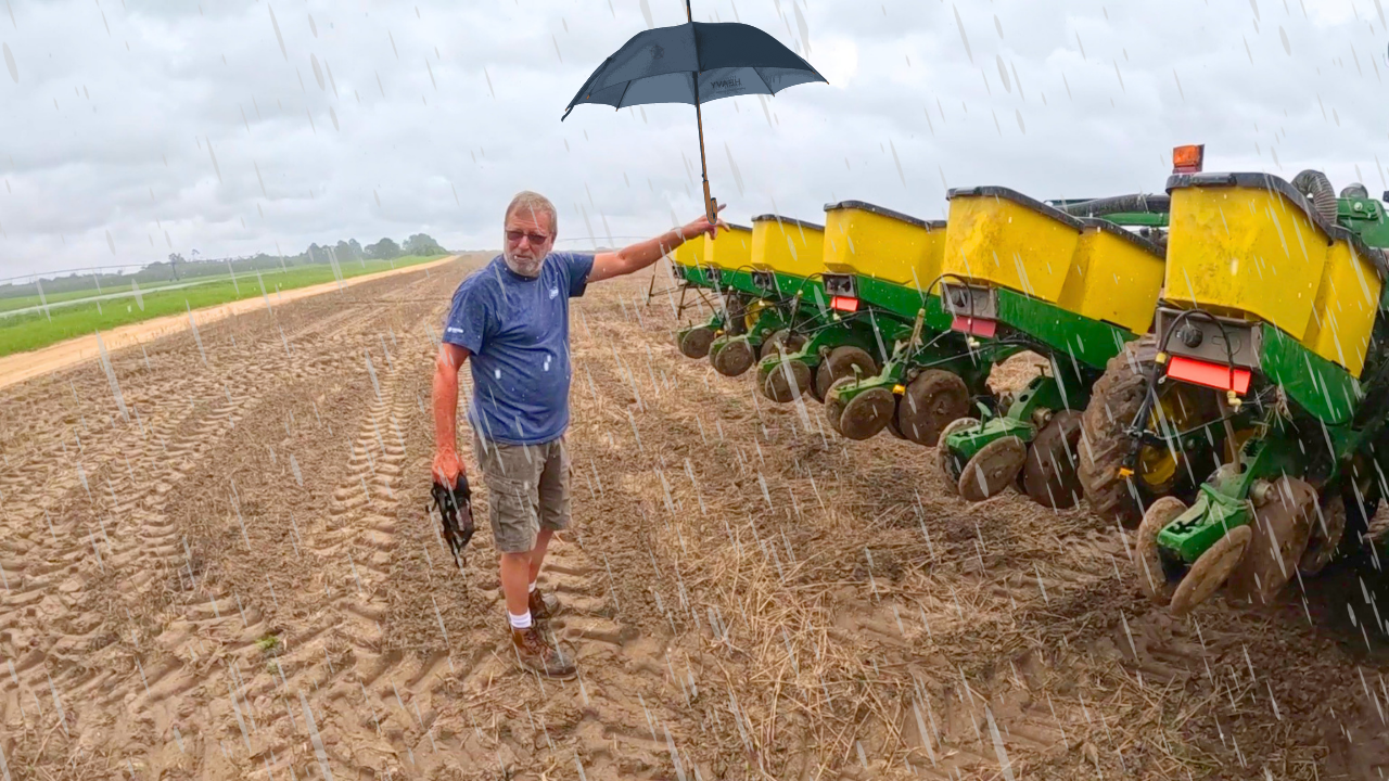 Rained Out Planting Cotton | Field Rows