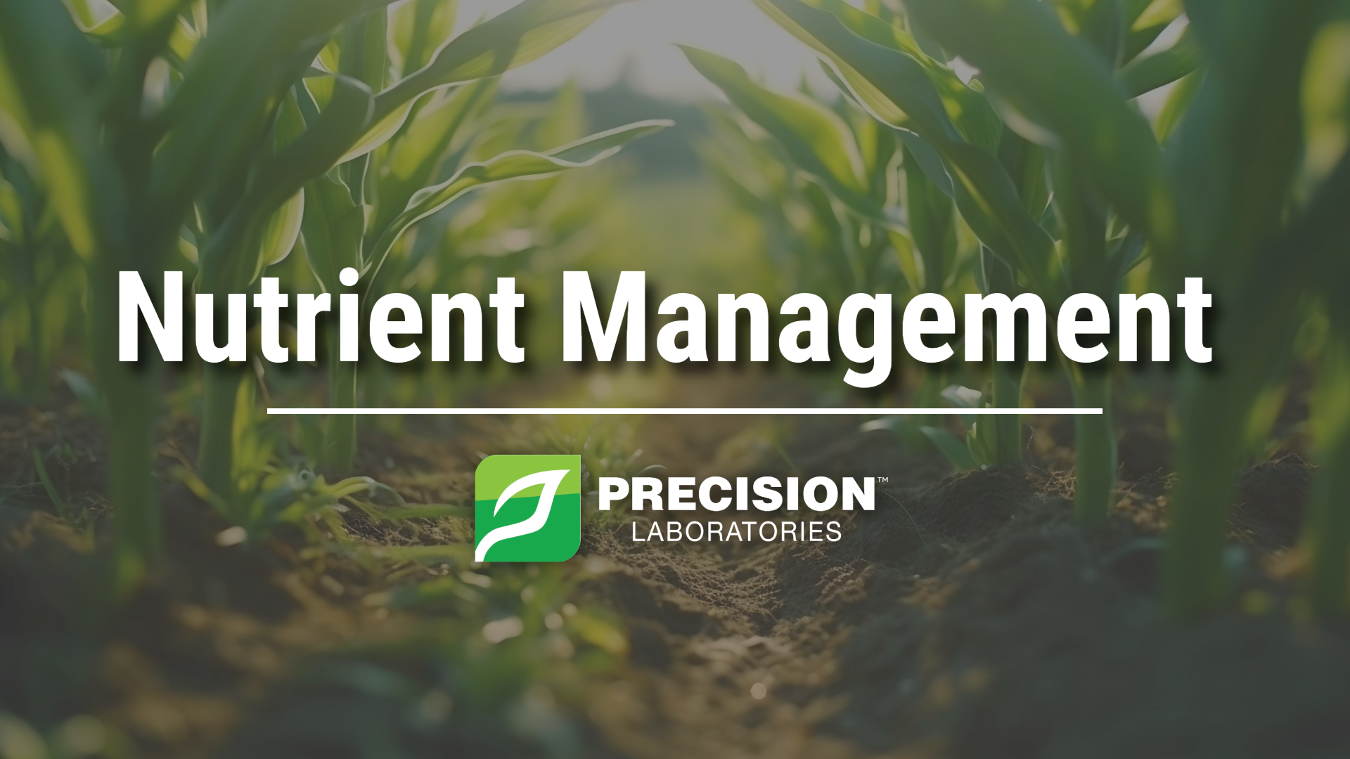 Nutrient Management | Precision Laboratories