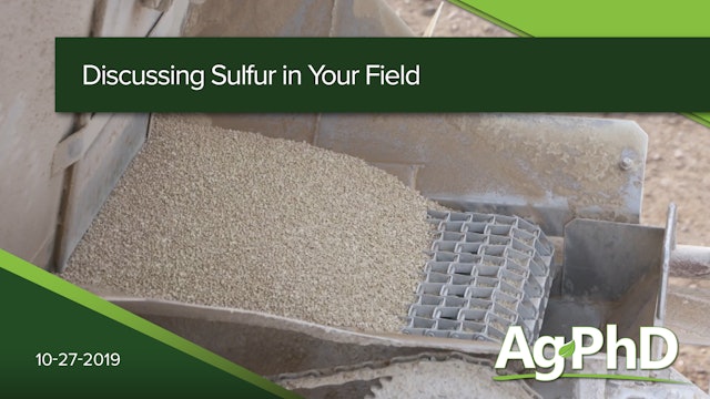 Discussing Sulfur in Your Field