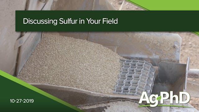 Discussing Sulfur in Your Field | Ag PhD