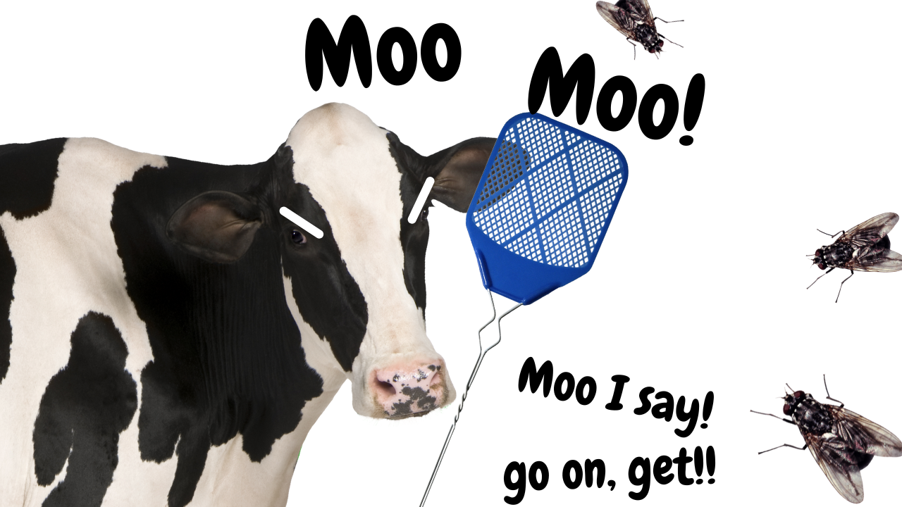 Don't Screw with My Cows | WAG in Focus 06-11-25