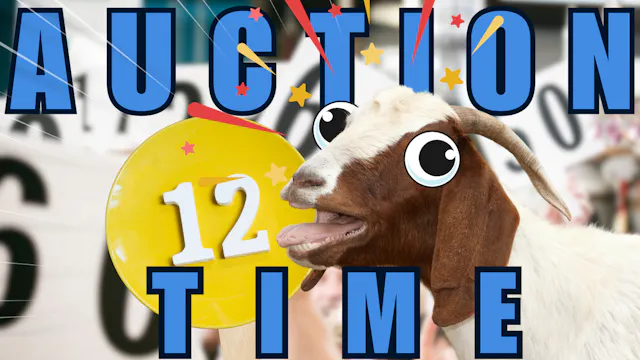 On the Auction Block | WAG in Focus 0...