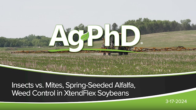 Insects vs. Mites, Spring-Seeded Alfalfa, Weed Control in XtendFlex Soybeans