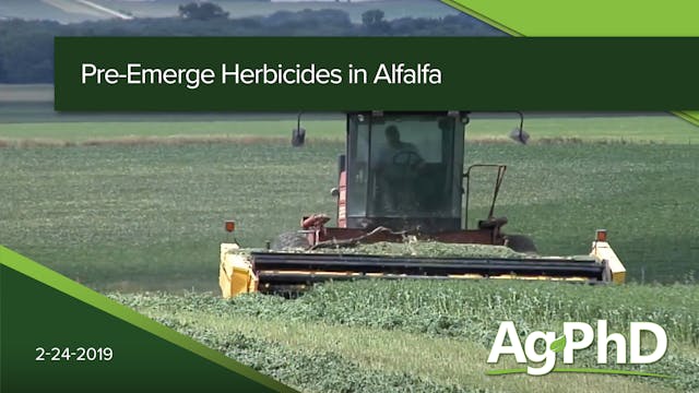 Pre-Emerge Herbicides in Alfalfa, Sun...