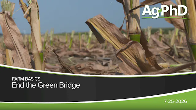 End the Green Bridge | Ag PhD
