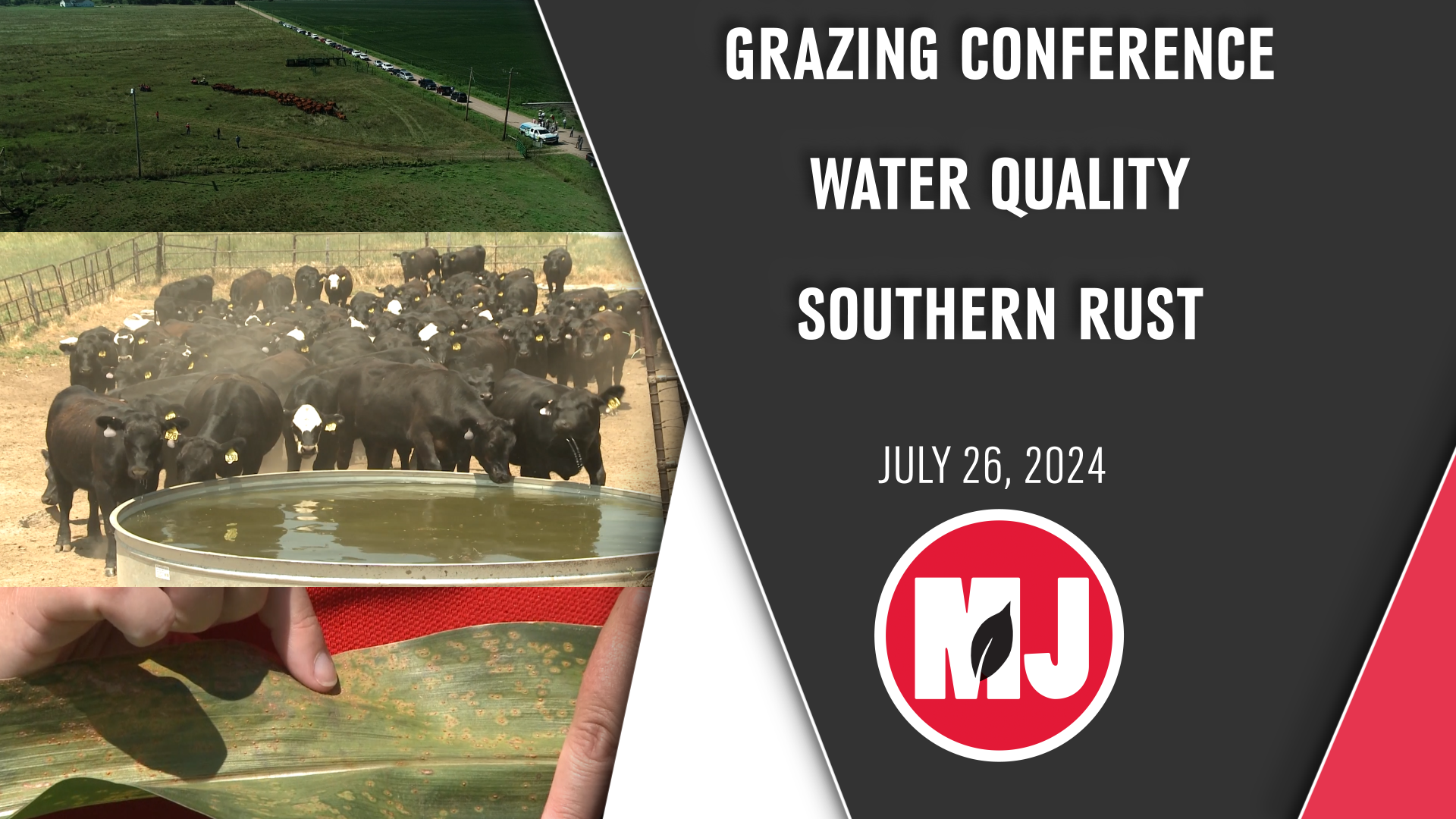 July 26, 2024 | Market Journal