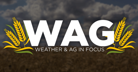 Catching Up on Travel, Headlines and Wicked Hot Weather - WAG In Focus 7/25/23