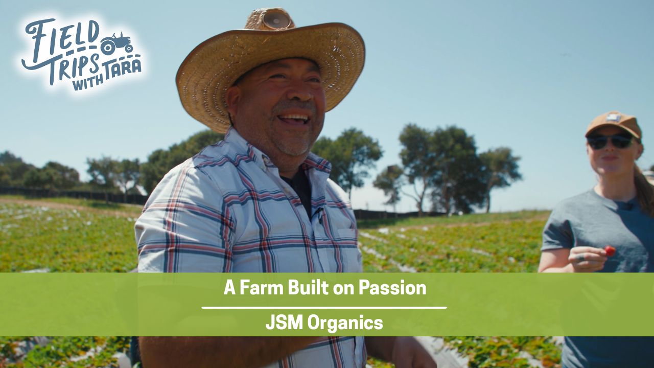 A Farm Built on Passion | The Story of JSM Organics | Field Trips