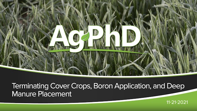Terminating Cover Crops, Boron Applications, Deep Manure Placement