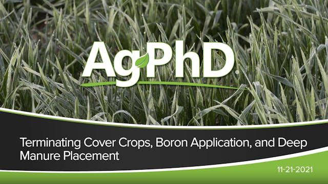 Terminating Cover Crops, Boron Applic...