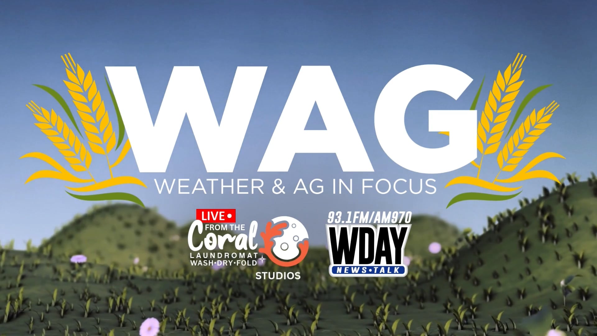 Farm QA Answers All | WAG in Focus 09-03-25