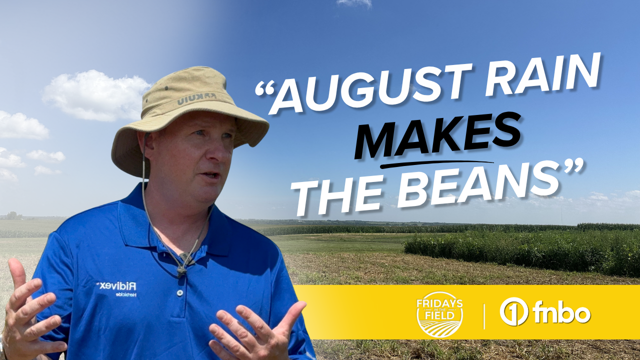 Decision Time for Critical Herbicide & Fungicide Applications | Rural Radio