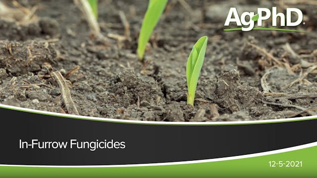 In-Furrow Fungicides | Ag PhD