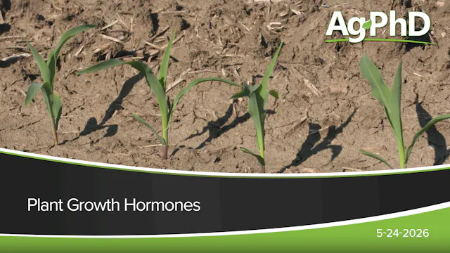 Plant Growth Hormones | Ag PhD