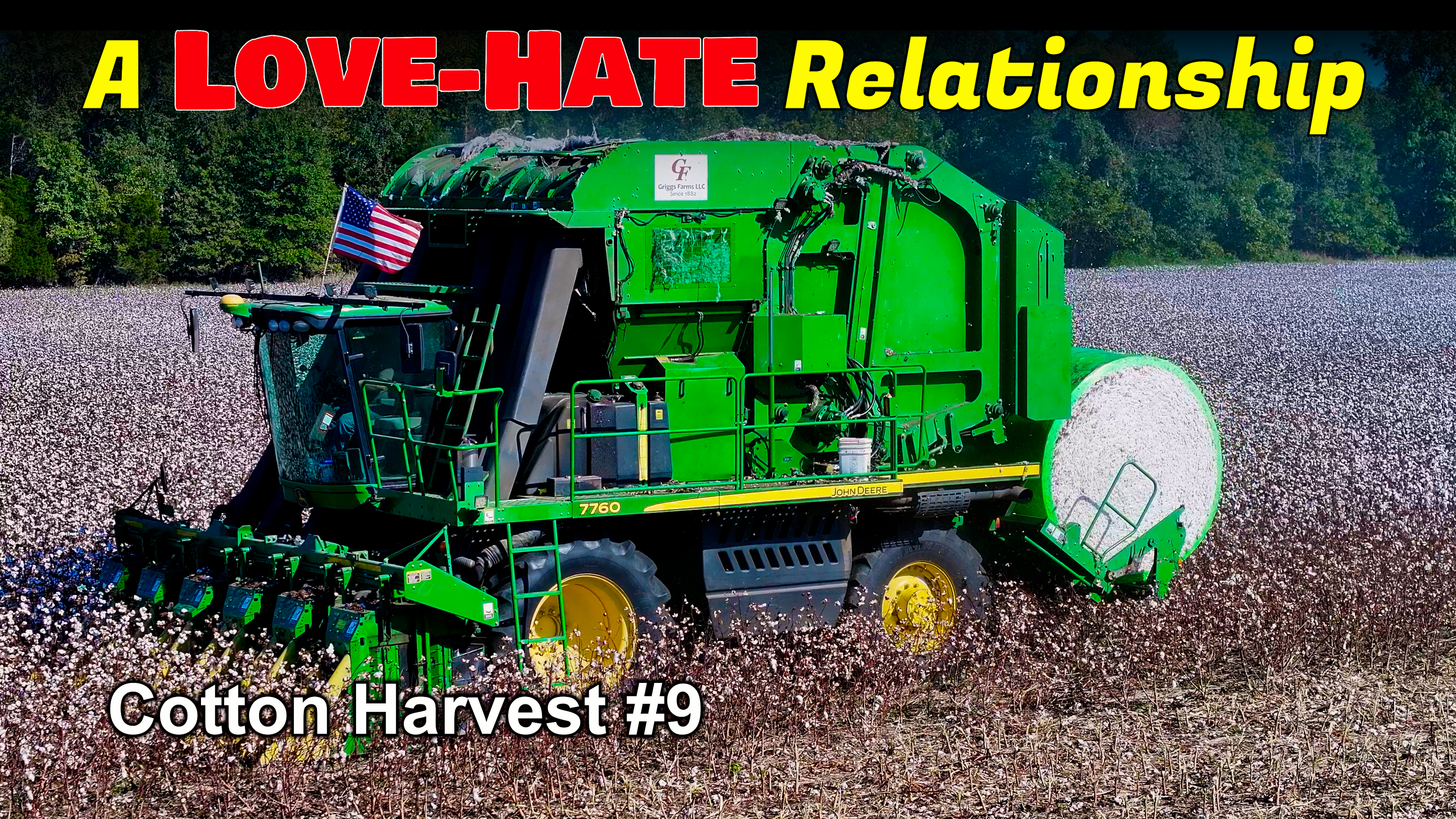 A Love-Hate Relationship.. Cotton Harvest #9 | Griggs Farms