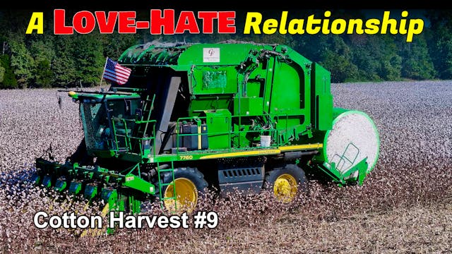 A Love-Hate Relationship.. Cotton Har...