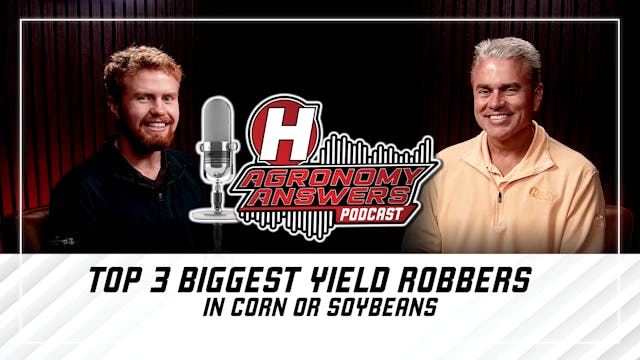 Top 3 Biggest Yield Robbers in Corn o...