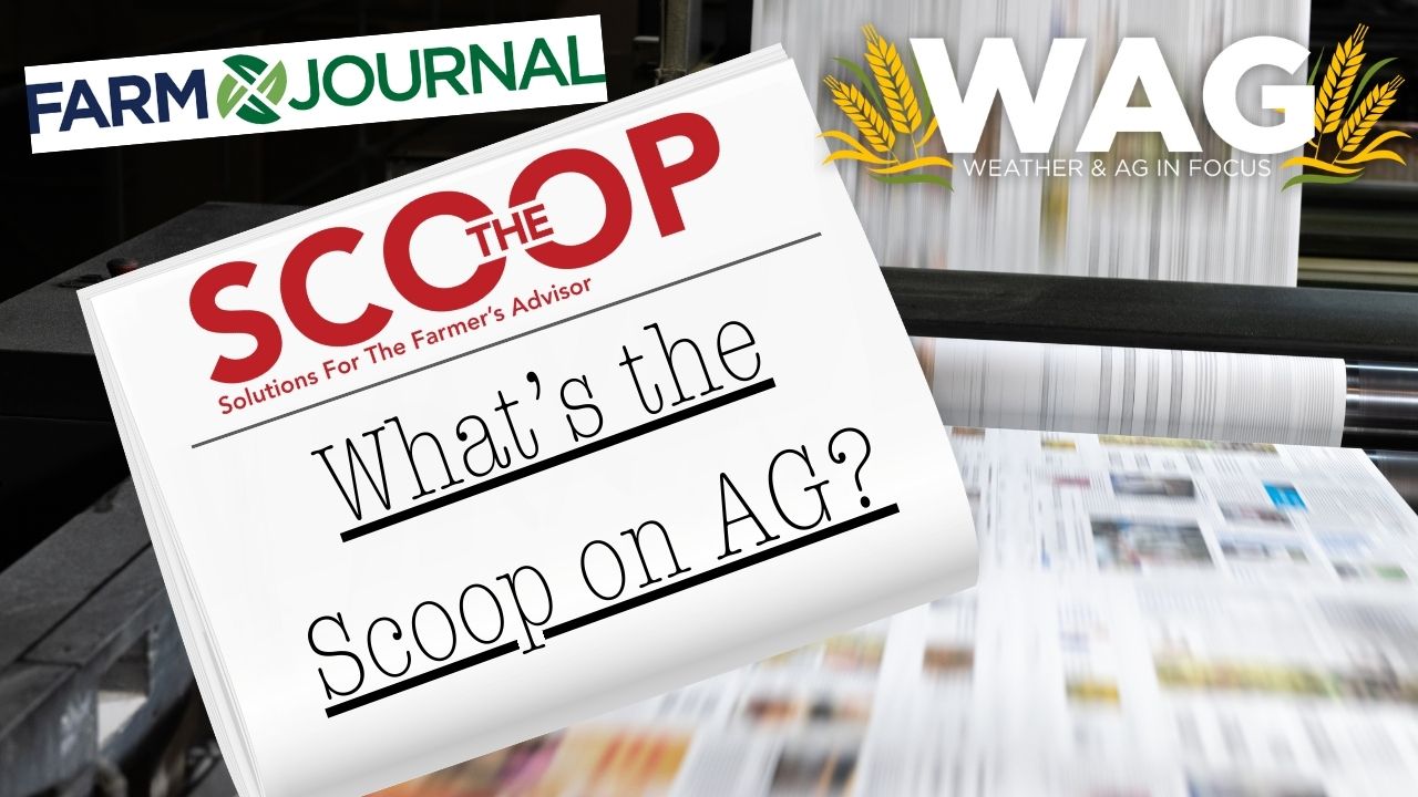 What's the Scoop on Ag? | WAG in Focus 11/13/23