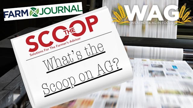 What's the Scoop on Ag? | WAG in Focu...