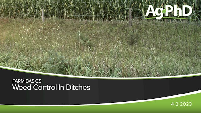 Weed Control In Ditches | Ag PhD