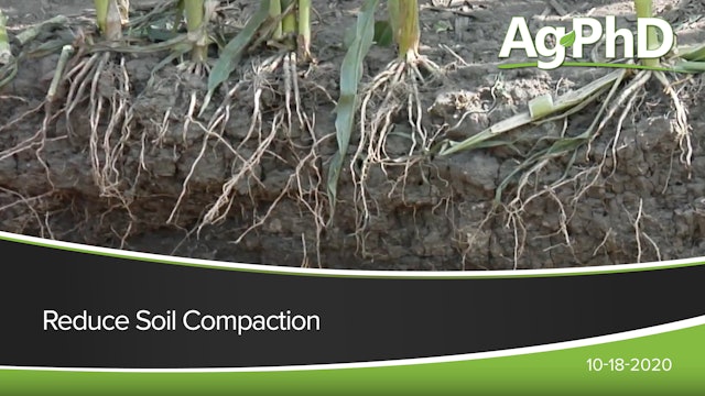 Reduce Soil Compaction | Ag PhD