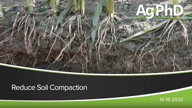 Reduce Soil Compaction | Ag PhD