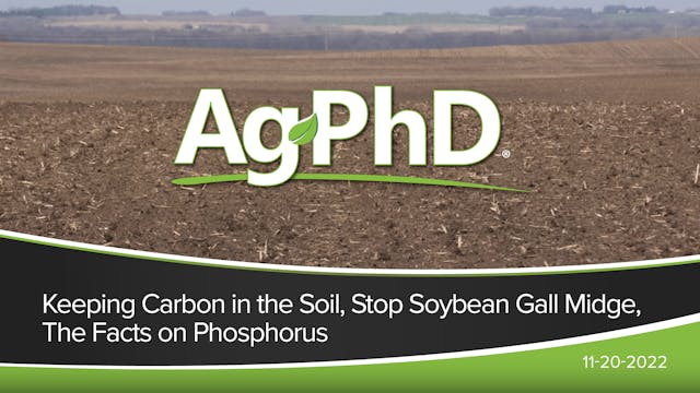 Keeping Carbon in the Soil, Stop Soyb...