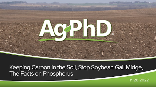 Keeping Carbon in the Soil, Stop Soybean Gall Midge, Facts on Phosphorus| Ag PhD