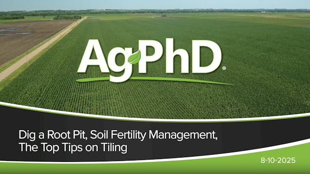 Dig a Root Pit, Soil Fertility Manage...