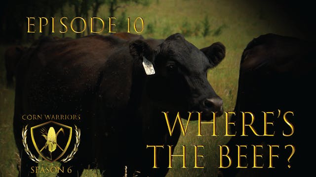 Corn Warriors | 610 | Where's The Beef?