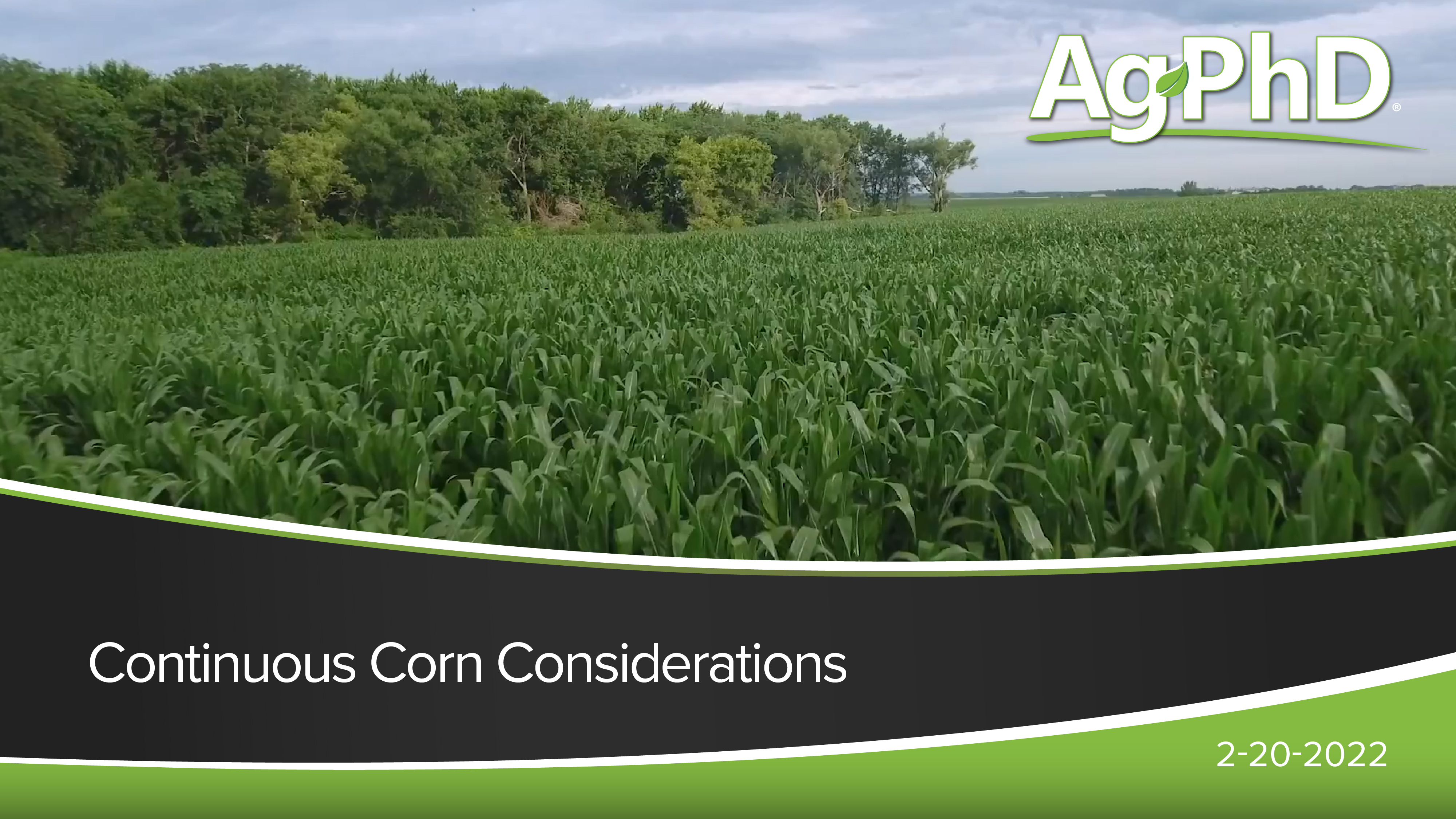Continuous Corn | Ag PhD