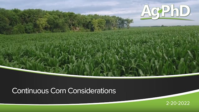 Continuous Corn | Ag PhD