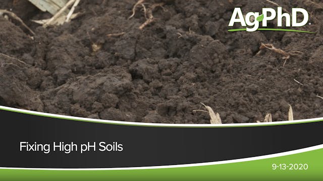 Fixing High pH Soils | Ag PhD