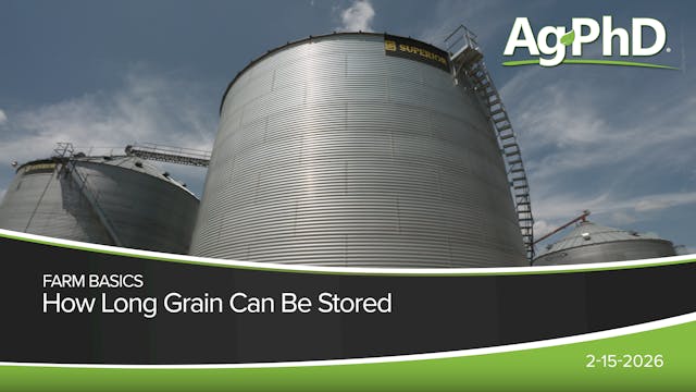 How Long Grain Can Be Stored | Ag PhD