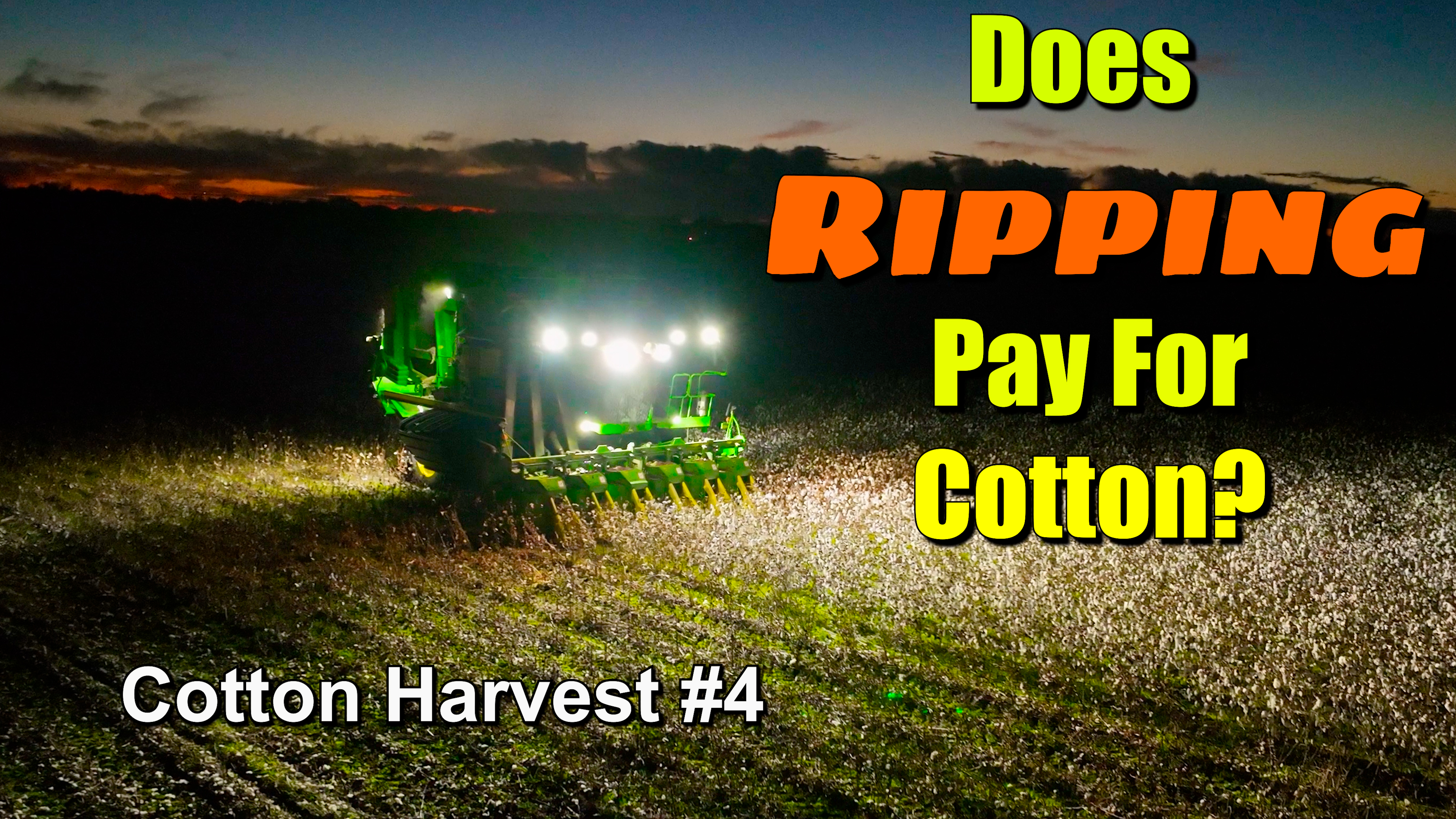 Getting To the Disappointment Faster This Year-Cotton Harvest #4 | Griggs Farms