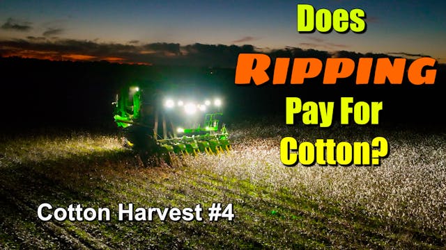 Getting To the Disappointment Faster ...