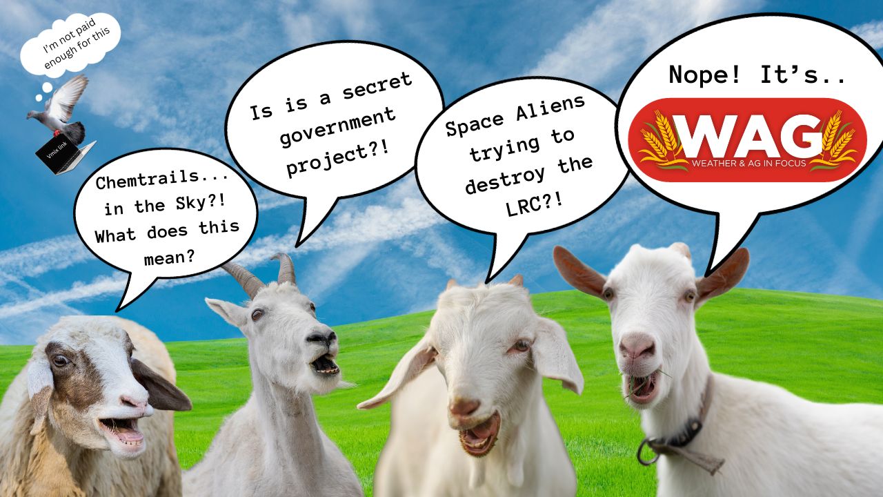 Terrifically Thrilling Tuesday | WAG in Focus 11/7/23