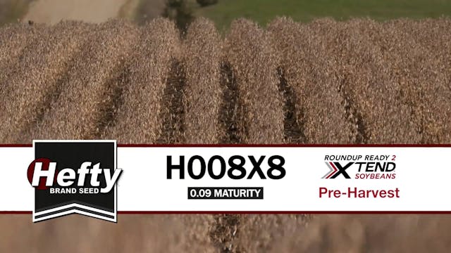 H008X8 | 0.08-Maturity | Xtend