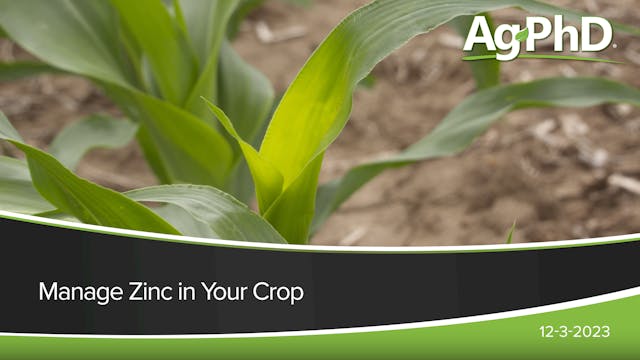Manage Zinc in Your Crop | Ag PhD