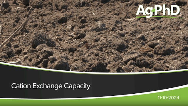 Cation Exchange Capacity | Ag PhD